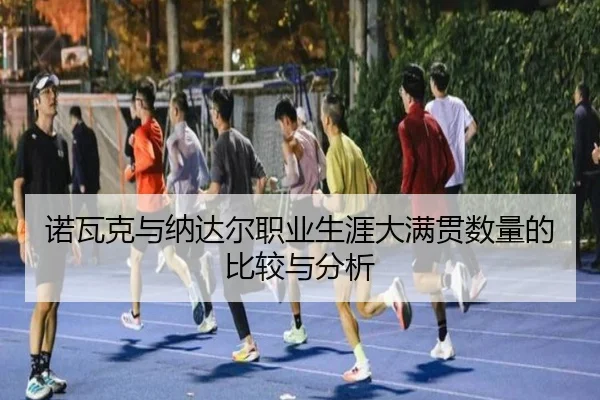 诺瓦克与纳达尔职业生涯大满贯数量的比较与分析